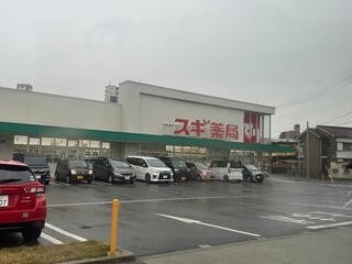 フローリッシュ　Ａの周辺|スギ薬局 名南店まで650m