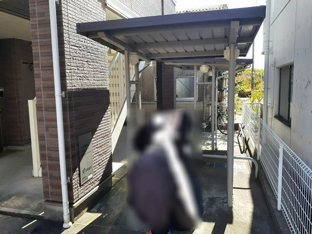 ゼファーのその他共用部分