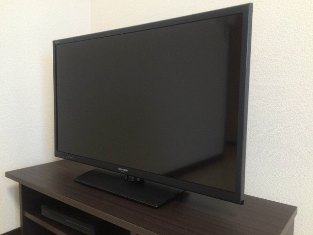 レオネクストファトミリーのその他|32インチ液晶テレビ