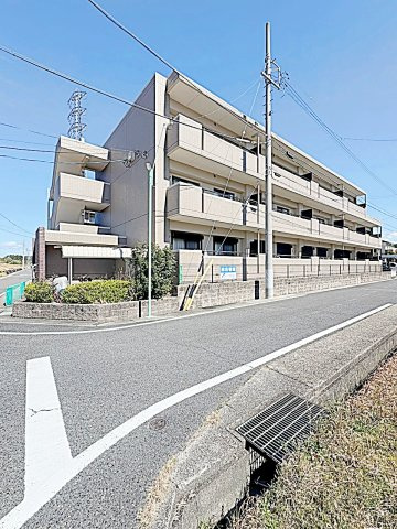 レージュ至来