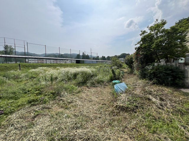 津山市南方中　中古住宅4LDK＋倉庫　の庭|農地