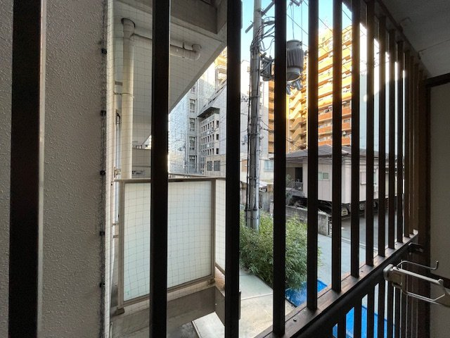 ラパンジール大国4の展望
