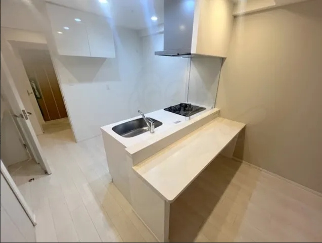 スプランディッド新大阪VⅢのキッチン