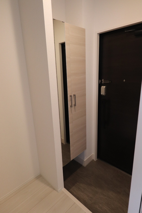 D-room FIRST大善寺駅前の玄関|シンプルで使いやすい玄関です
