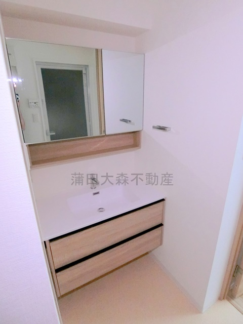 クオリタス南大井の洗面所