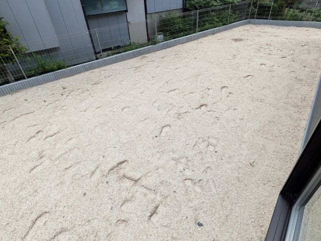 石岡市石岡　第9　新築戸建ての庭