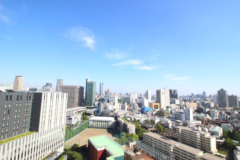 ザ・コート神宮外苑の展望