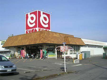 宇都宮市宝木町2丁目　5DK　中古住宅の周辺|とりせん宝木店まで1090m