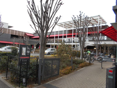 若葉ケヤキモールまで1100m