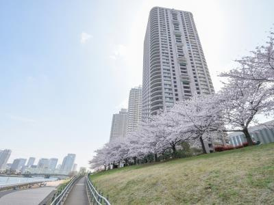 【その他】