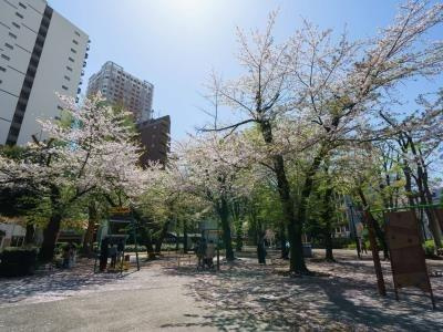 【その他】