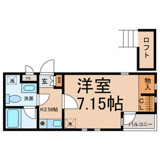 アムール青柳の画像