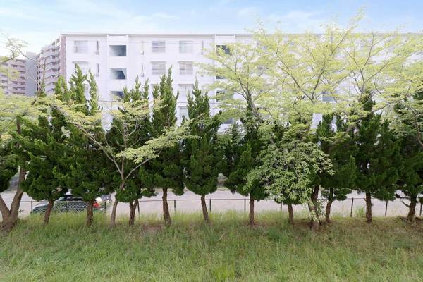 ビレッジハウス台宿2号棟のその他|ビレッジハウスの同一物件・同一タイプの間取りの写真です