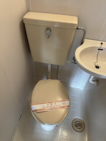 スカイコート向ヶ丘第2のトイレ|落ち着いたトイレです