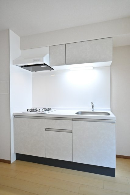 ＣＥＮＴＲＡＬ　ＧＡＲＤＥＮ　ＲＥＳＩＤＥＮＣＥ　ＴＯＫＹＯのキッチン|お料理しやすいキッチンです