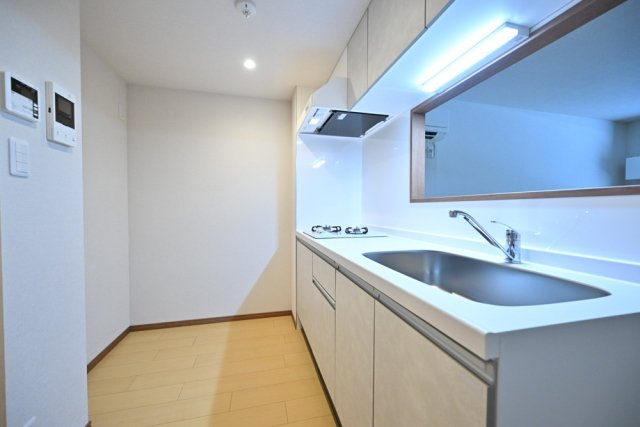 ＣＥＮＴＲＡＬ　ＧＡＲＤＥＮ　ＲＥＳＩＤＥＮＣＥ　ＴＯＫＹＯのキッチン|お料理しやすいキッチンです