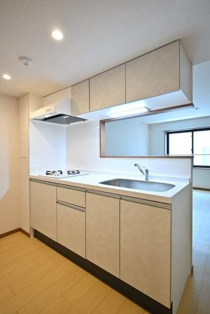 ＣＥＮＴＲＡＬ　ＧＡＲＤＥＮ　ＲＥＳＩＤＥＮＣＥ　ＴＯＫＹＯのキッチン|使いやすいキッチンです