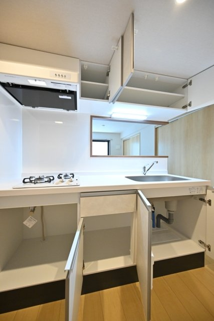 ＣＥＮＴＲＡＬ　ＧＡＲＤＥＮ　ＲＥＳＩＤＥＮＣＥ　ＴＯＫＹＯのキッチン|キッチンです