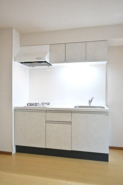 ＣＥＮＴＲＡＬ　ＧＡＲＤＥＮ　ＲＥＳＩＤＥＮＣＥ　ＴＯＫＹＯのキッチン|コンパクトなキッチンで掃除もラクラク