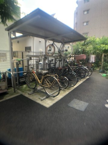 シーザスパレス錦糸町のその他共用部分
