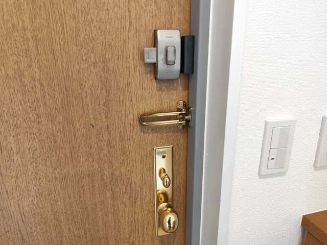 LANAI1521のその他