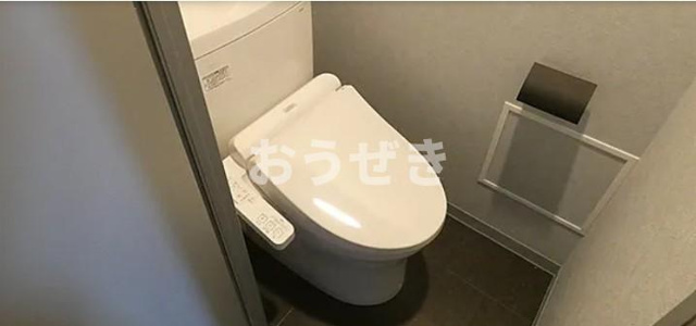 ＡＬＴＥＲＮＡ横濱阪東橋のトイレ
