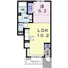 シェルティの画像