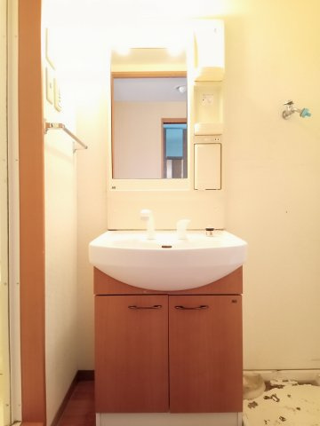 稲城市矢野口の賃貸マンションの洗面所