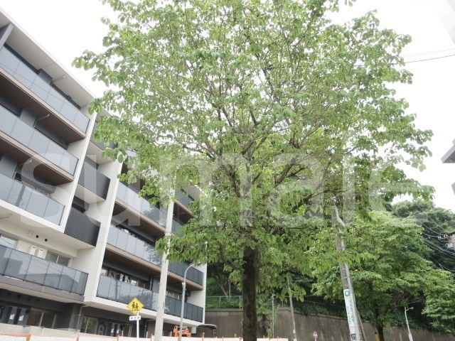 ルフォンプログレ赤羽のその他|綺麗に手入れされた植栽ですね☆