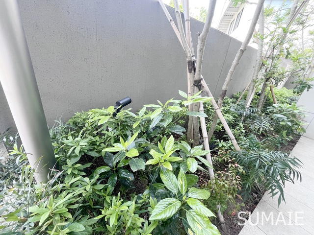 ルフォンプログレ赤羽のその他|植栽です☆