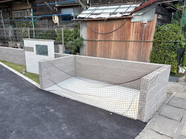 サビオいちの庭