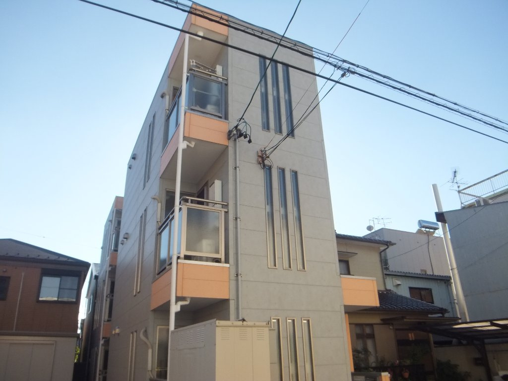 アムール青柳