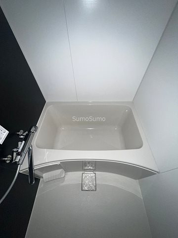 S-RESIDENCE日本橋Qualierの浴室