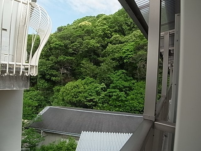 神戸市中央区北野町４丁目の賃貸マンションの展望|眺望