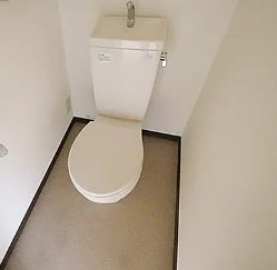 大和市渋谷８丁目の賃貸マンションのトイレ