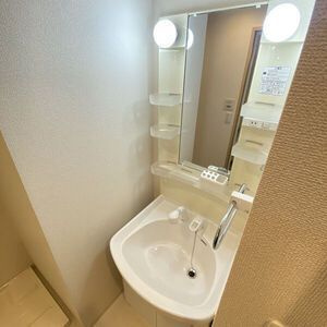 グレイスコート亀戸の洗面所