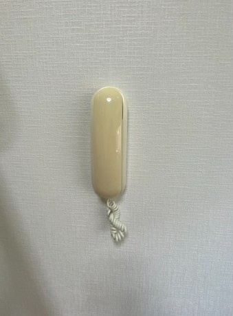 パレス与野本町のセキュリティ