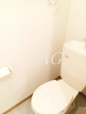 【トイレ】 | アムール　南街 | トイレです。