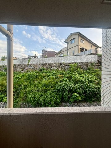 CozyLinkの展望