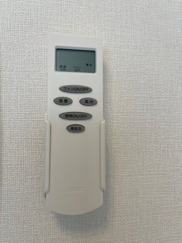 Tokyo Lumina