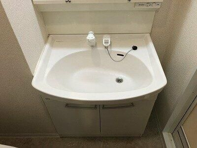 レオーネ清澄白河の洗面所