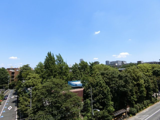本郷エーワン東大前の展望
