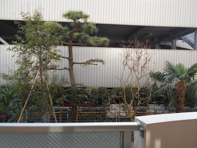 フラワーヴィレッジの展望