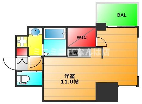 ドゥーエ南堀江の間取り|2階5階8階11階はショコラ　3階6階9階12階はメープル　4階7階10階13階ホワイト