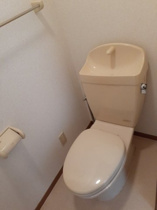 落ち着いた色調のトイレです