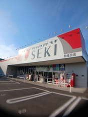 ドラッグストア　セキ柏高田店まで1168m