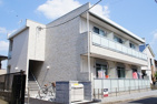 リブリ・コアラの画像