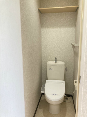 清潔感のあるトイレです