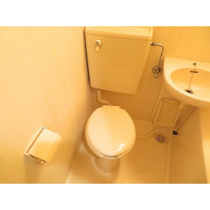 落ち着いたトイレです