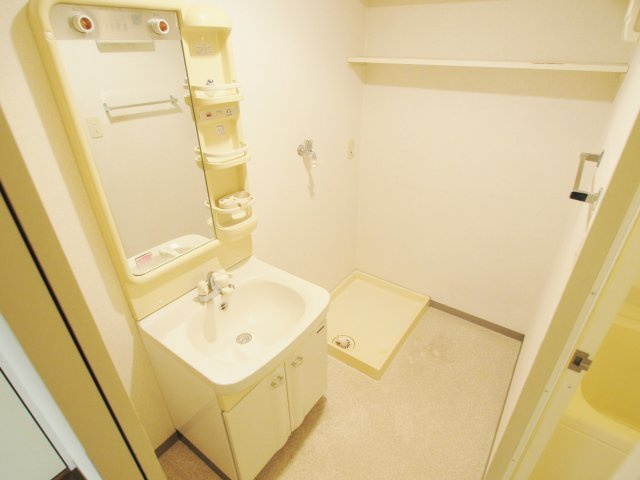メゾン正木の洗面所